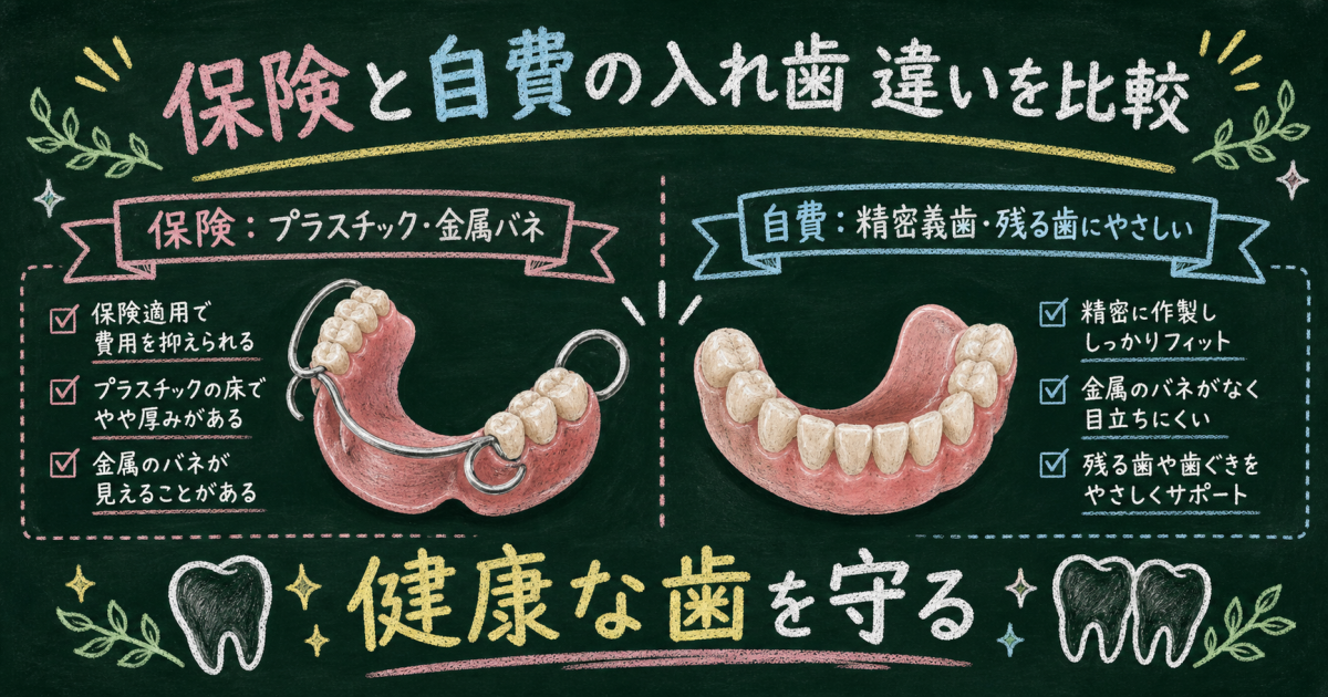 健康な歯を守る!入れ歯の保険と自費の違い・残る歯への負担を比較