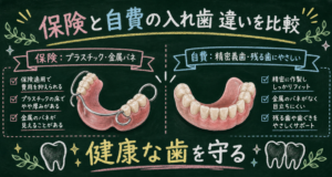 健康な歯を守る！入れ歯の保険と自費の違い・残る歯への負担を比較